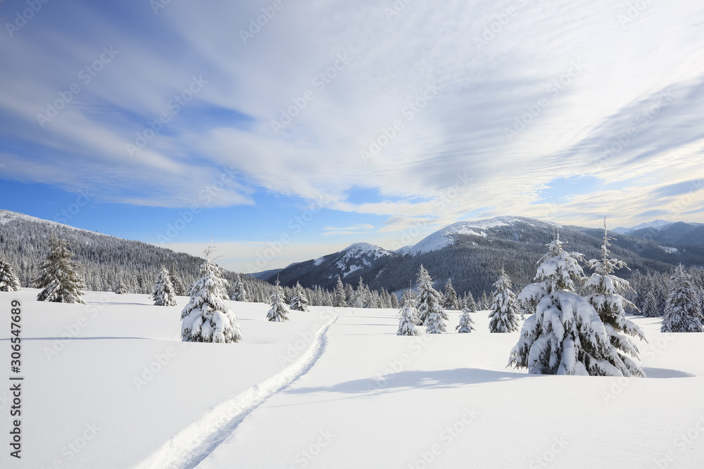 Beautiful landscape of high mountains, wood and blue sky. Winter scenery. Lawn covered with white snow. Location place Carpathian, Ukraine, Europe.