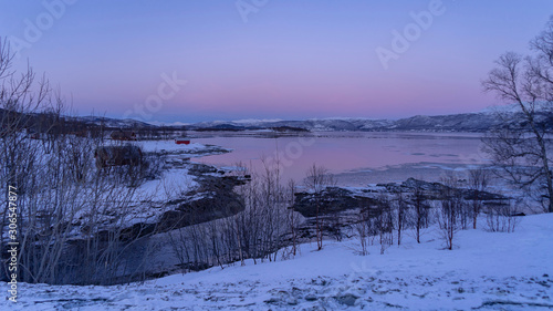 bord d'un fjord gelé à l'heure bleue et couleurs magenta avec des arbres sans feuilles paysage tranquille