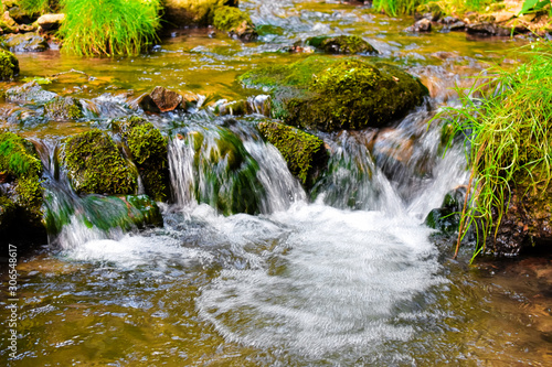 Mossy Glen 