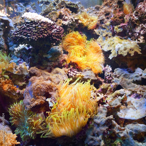 marine aquarium on display in a zoo