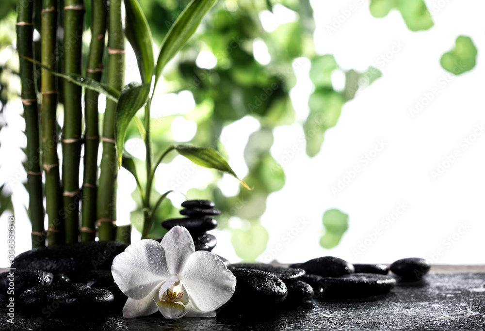 Obraz Grean bamboo leaves over zen stones and orchid flower on white background