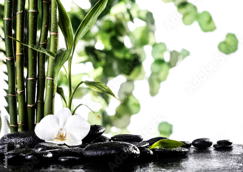 Fototapeta Naklejka Na Ścianę i Meble -  Grean bamboo leaves over zen stones and orchid flower on white background