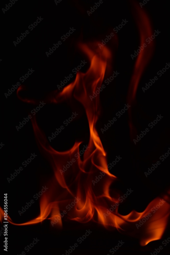 Fototapeta premium Beautiful fire flames on a black background.