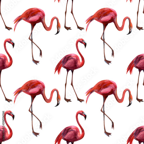 Watercolor seamless pattern with flamingo hand drawing decorative background. Print for textile, cloth, wallpaper, scrapbooking