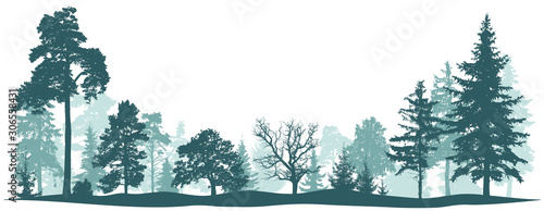 Forest park tree background. Nature landscape. Green conifers. Pine fir New Year tree. Vector silhouette