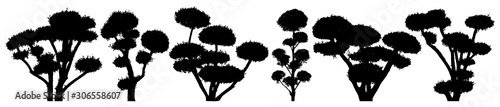 Garden bonsai niwaki. Decorative trees. Shrub vector silhouette set