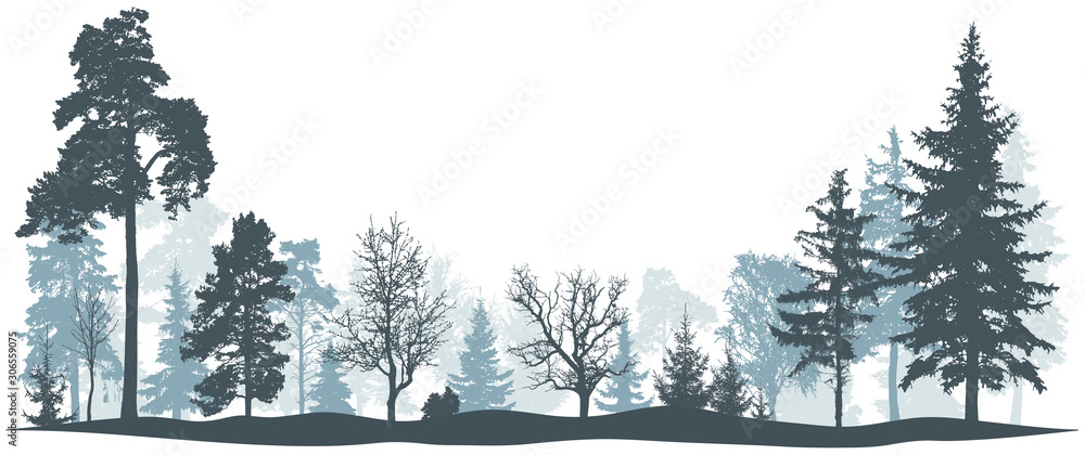 Winter forest vector illustration. Isolated trees silhouette - obrazy, fototapety, plakaty 