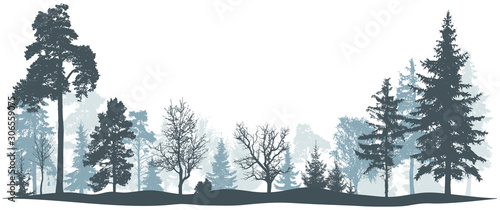 Winter forest vector illustration. Isolated trees silhouette