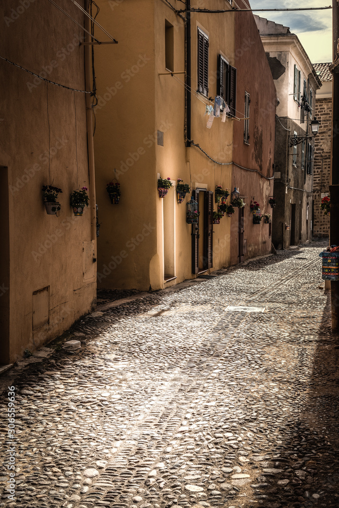 Fototapeta premium Paved alley in old town Alghero