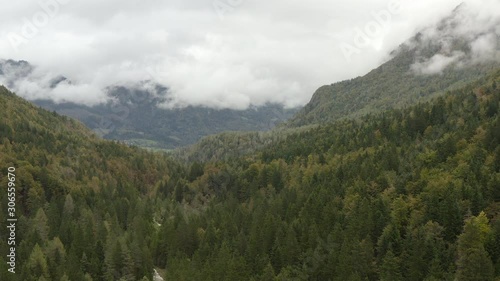 Wallpaper Mural Flying above foggy pine forest treetops. Thick misty clouds rising from lush spruce forest on cold morning day. Creepy fog and mist wrapping green pine forest in early autumn morning. Aerial footage Torontodigital.ca