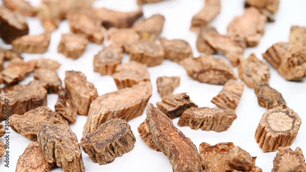side view herb medicine XuDuan or Radix Dipsaci Asperoidis or Himalayan Teasel Root rotate and pause side view herb medicine XuDuan or Radix Dipsaci Asperoidis or Himalayan Teasel Root rotate and pause