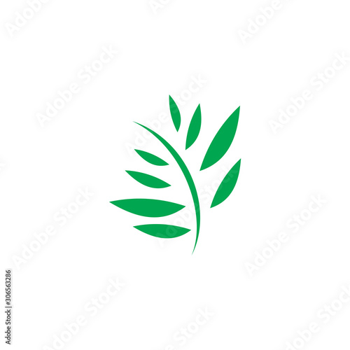 color modern leaf logo design