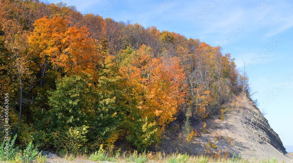 Autumn landcsape Autumn landcsape