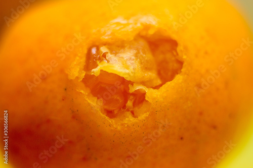Bitten tangerine. Photo.