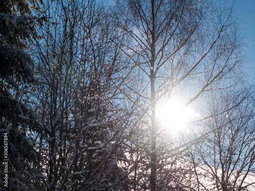 Wintersonne photo