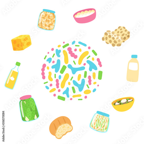 Probiotic sources in circle. Hand drawn infographic poster with probiotic food - Vector. Prebiotic, lactobacillus and health concept with food and bacteria symbols flat vector illustration.