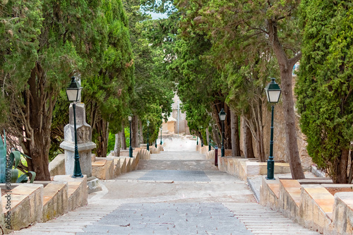 Staircase steps with trees alley to the calvary of pilgrimage church in Arta, Mallorca, Spain photo