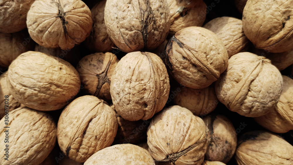 many walnuts as background many walnuts as background