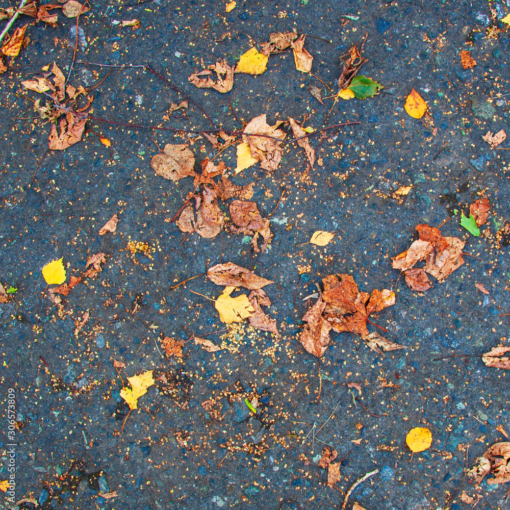 Many dry falling brown and yellow leaves on the road. Many dry falling brown and yellow leaves on the road.