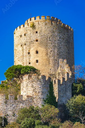 Rumelian Castle on the Euro...
