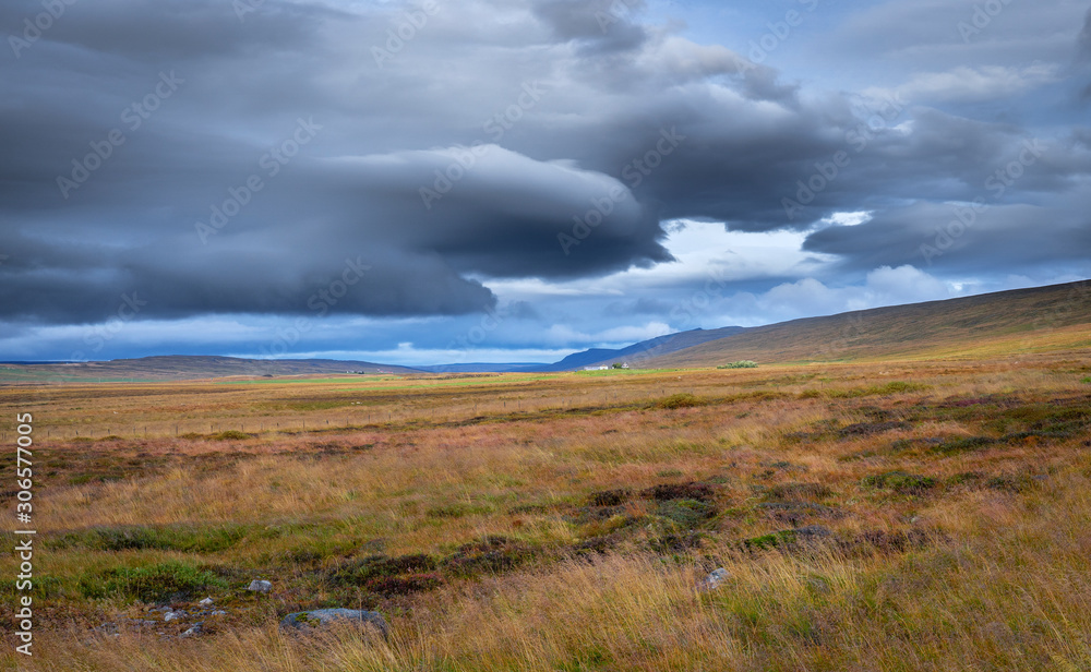 moss covered lava field in the highlands of Iceland moss covered lava field in the highlands of Iceland