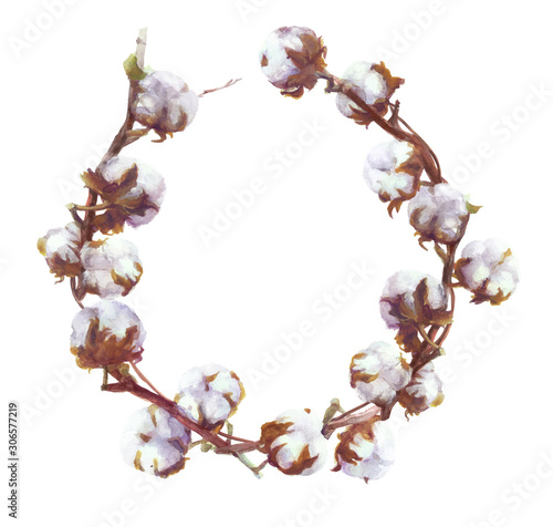 Cotton Bolls Vector Watercolor Branch and Wreath Painting. Handdrawn Botanical Set
