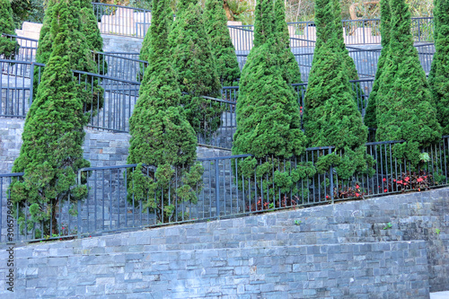 The trees are arranged as steps on the stairs.