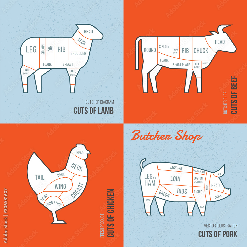 Set a schematic view of animals for the butcher shop. Stock Vector ...