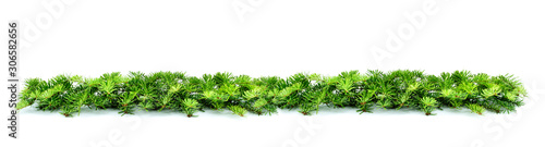 Christmas border arranged with fresh green fir branches  on white background. Christmas, winter, new year garland. Copy space.