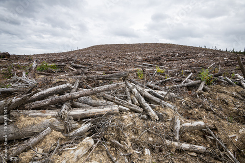 Forestry
