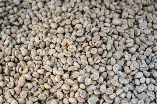 blurred green coffee bean for background