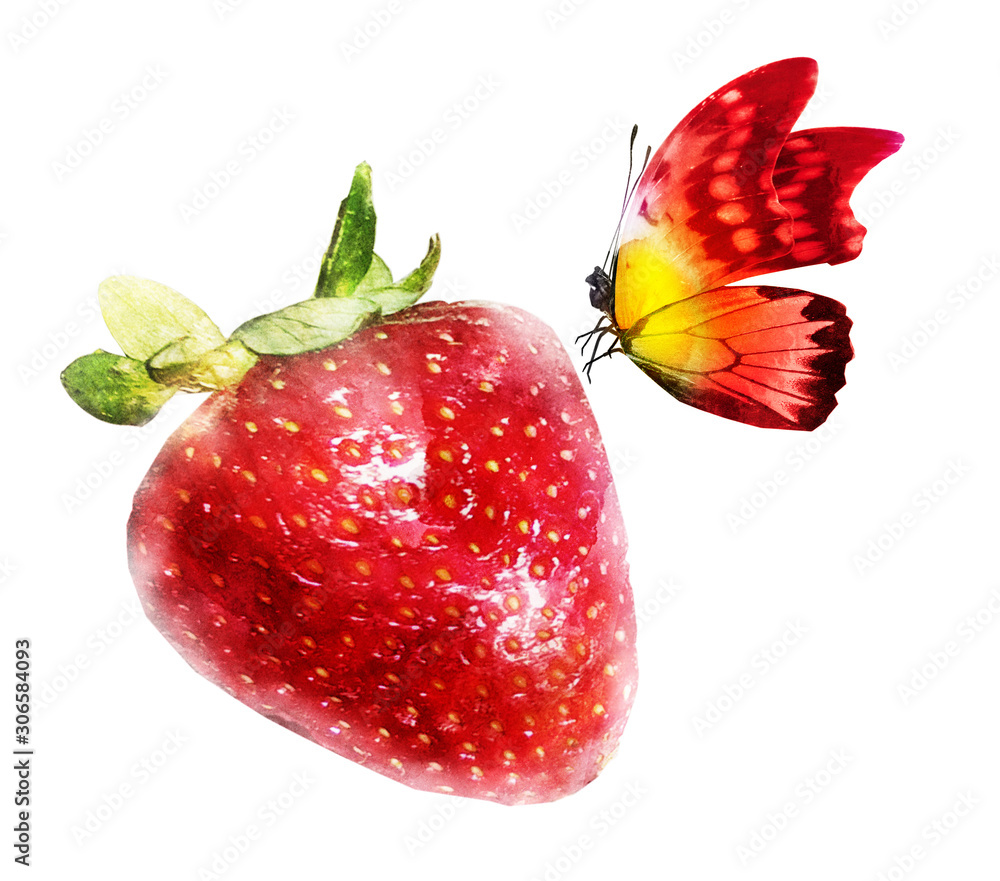 Watercolor strawberry and butterfly on white Stock Illustration 