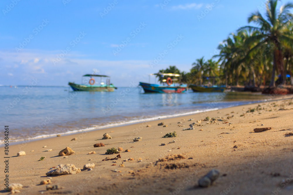 Obraz premium boat on the beach