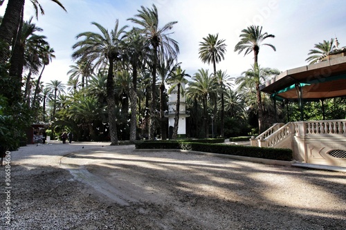 Music kiosk in the municipal park of Elche between palm trees