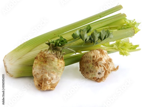 kinds of celeries -root celery and leaf celery