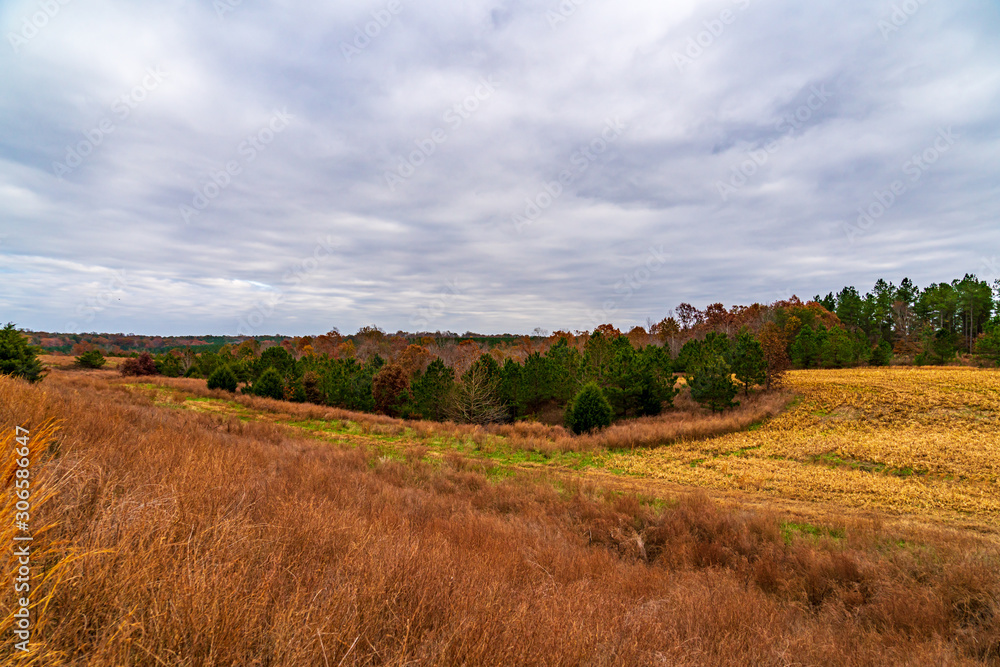 Autumn landscape with green field and blue sky Autumn landscape with green field and blue sky