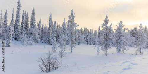 Hiver - Laponie - Finlande © maxence