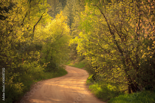 Autumn Country Road © Lenspiration