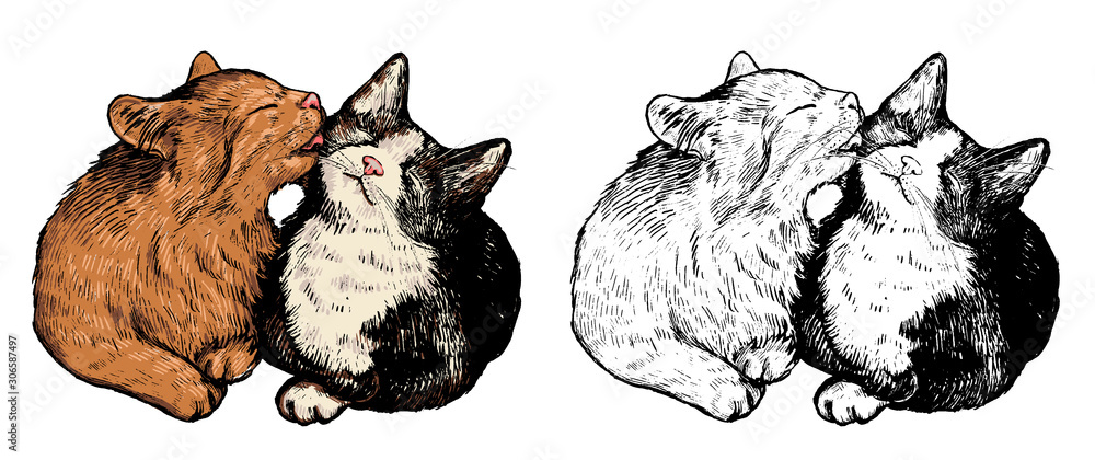 Vector hand drawn engraving sketch. Set of cute love pet animals.  Collection of tender cats couple. Colored and outline drawing isolated on  white. Romantic illustration for print, postcard, poster ets Stock Vector |