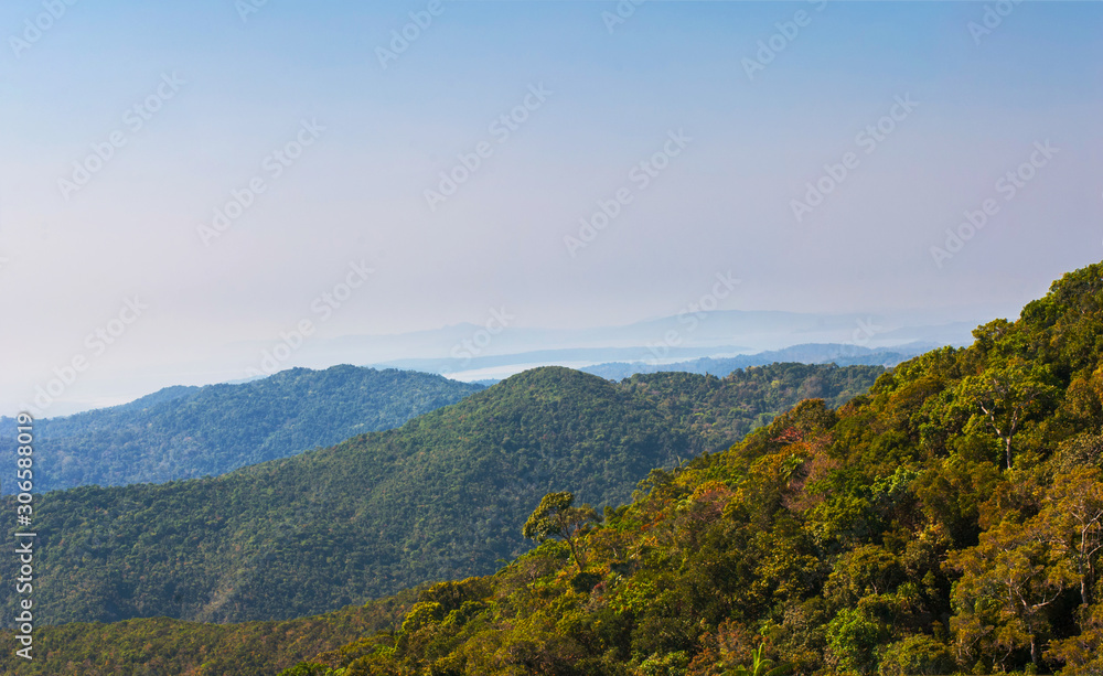 Panoramic view of the mountain tropical coast covered with rainforest