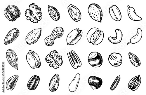 Nuts mix background. Seeds and granule, corn and grain. Hazelnut, Walnut, Almonds. Food concept. Top view. Vintage poster. Engraved hand drawn sketch. Set of doodle icons, signs in Monochrome style.