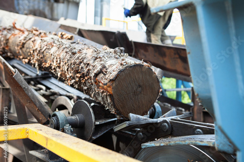 Log transportation on an automatic line in the plywood factory