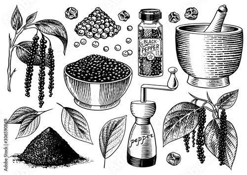 Black pepper set in Vintage style. Mortar and pestle, Allspice or peppercorn, Mill and dried seeds, a bunch of spices. Herbal seasoning for cooking. Engraved hand drawn vector sketch for background