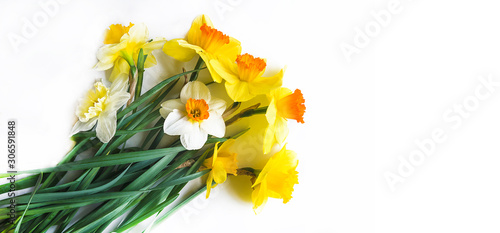 Bunch of yellow daffodils on the white background. Copy space, flat lay