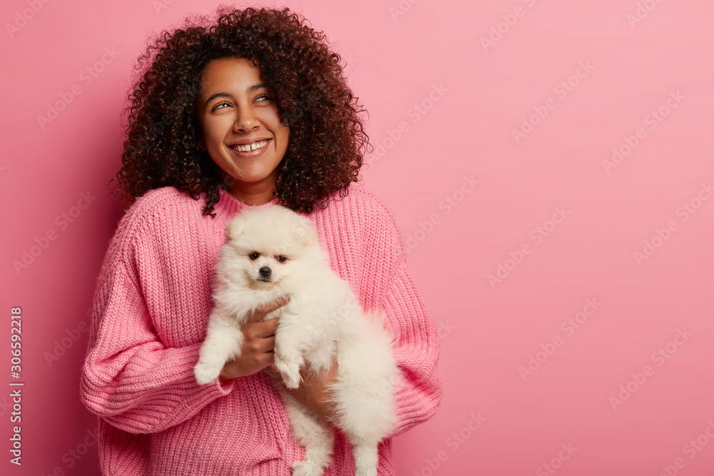 Selective focus. Positive Afro American girl holds Pomeranian spitz, being in good mood, presses pet closely to body, imagines pleasant day wears knitted sweater, poses against pink background Selective focus. Positive Afro American girl holds Pomeranian spitz, being in good mood, presses pet closely to body, imagines pleasant day wears knitted sweater, poses against pink background