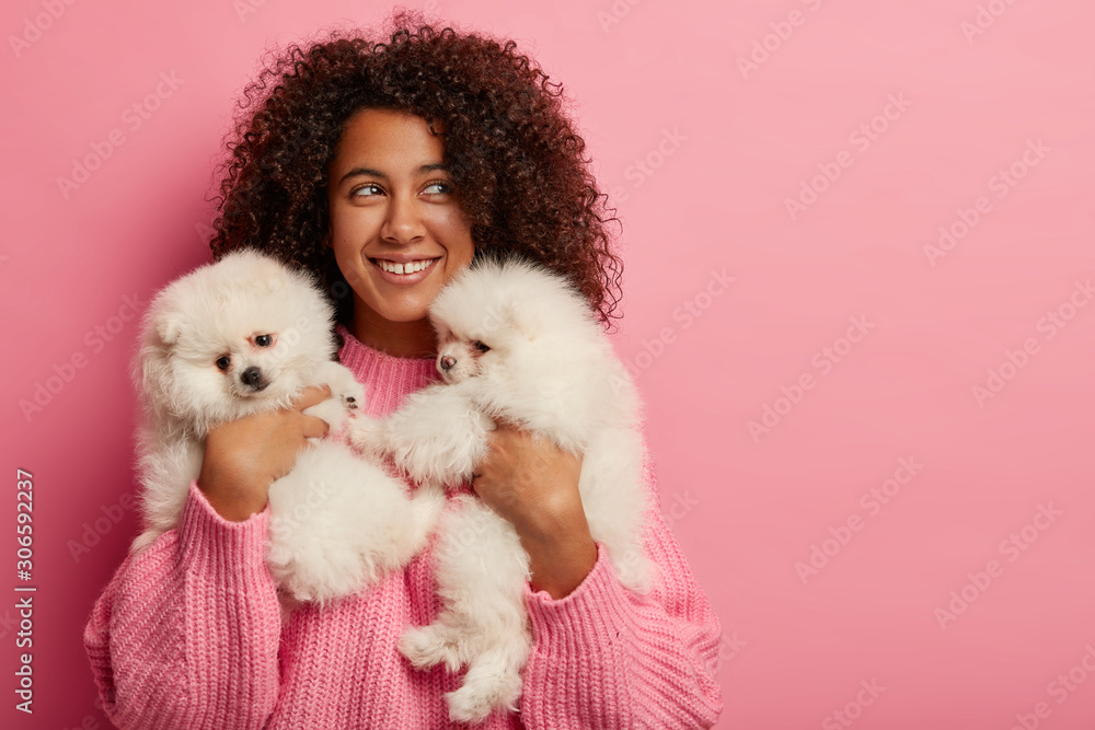 Positive curly female host happy to pose with two pedigree puppies, has good mood, smiles broadly, expresses love to animals, focused aside, isolated over rosy studio wall. Friendship, pets, people Positive curly female host happy to pose with two pedigree puppies, has good mood, smiles broadly, expresses love to animals, focused aside, isolated over rosy studio wall. Friendship, pets, people