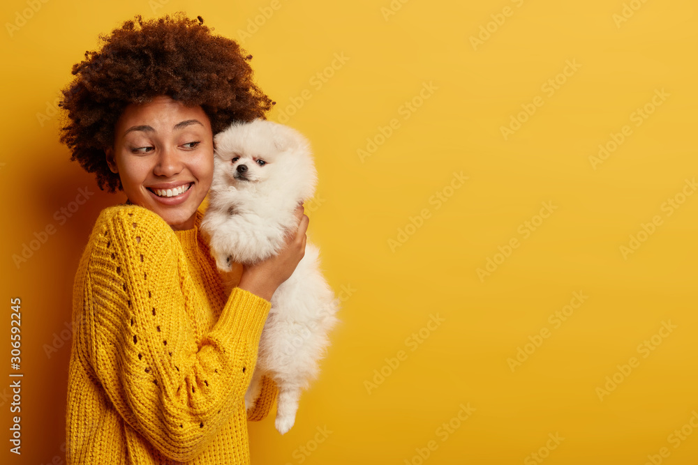 Photo of joyful female hostess raises white puppy in hands, holds tightly spitz dog, wears knitted sweater, models over yellow wall, copy space area for your promotion. Look at my four legged friend Photo of joyful female hostess raises white puppy in hands, holds tightly spitz dog, wears knitted sweater, models over yellow wall, copy space area for your promotion. Look at my four legged friend