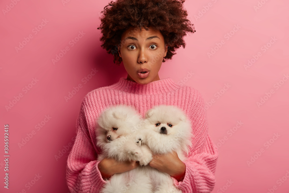 Photo of dark skinned lady looks in shock and surprisement, being scared and excited as pets have serious disease, stupefied to find stray animals on street, isolated over pink wall with two puppies Photo of dark skinned lady looks in shock and surprisement, being scared and excited as pets have serious disease, stupefied to find stray animals on street, isolated over pink wall with two puppies