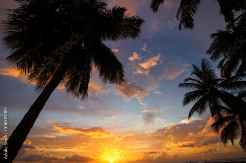 Coucher de soleil et palmiers 