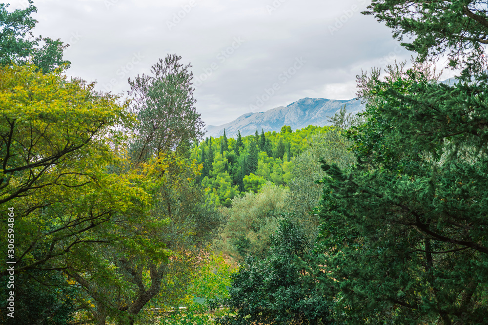 Mediterranean landscape. Views of the mountain through mixed forest. Cloudy weather.